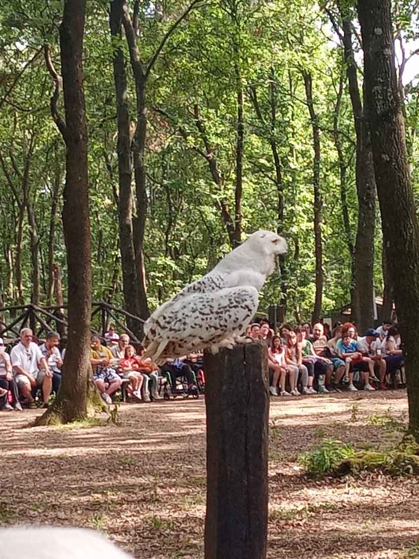 Festa della primavera 2022