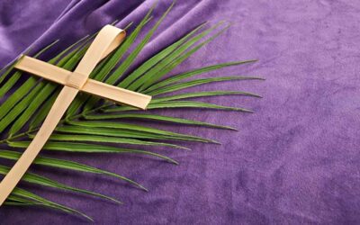 Un cammino di speranza verso la Pasqua